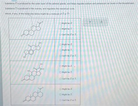 Solved Substance X Is Produced By The Outer Layer Of The Chegg