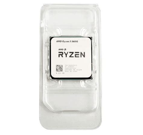 Processador Amd Ryzen 5 5600G R5 5600G 3.9ghz | Computer processors ...