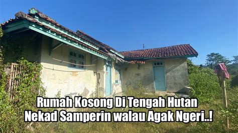 Beginilah Penampakan Rumah Kosong Di Tengah Hutan Dekat Sungai Besar