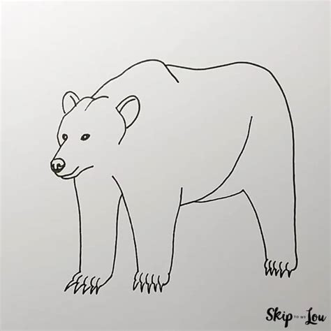 How To Draw A Bear Step By Step Easy