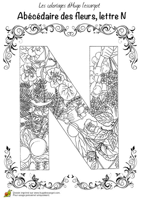 Coloriage Abecedaire Belles Fleurs A Lettre N Sur Hugolescargot