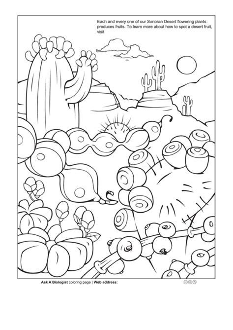 Sonoran Desert Flowers Coloring Sheet Printable Pdf Download