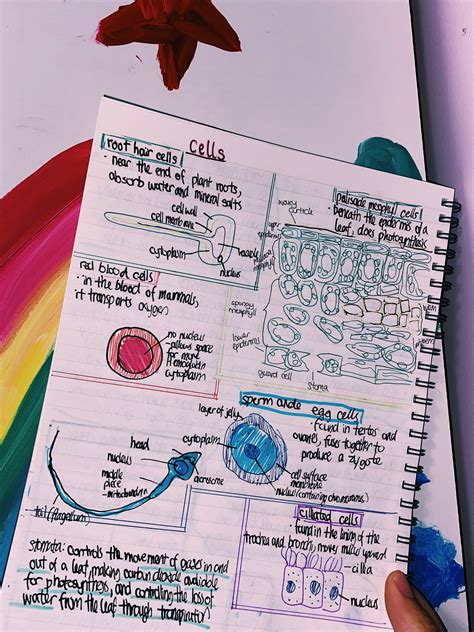 Biology Specialised Cells Biology Notes Biology Facts Biology