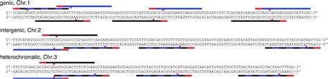 Experimental Setup For The Investigation Of Genomic Changes Due To