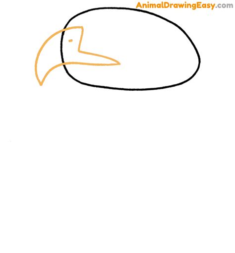 How to Draw a Bald Eagle Head - Animaldrawingeasy.com