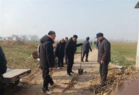 许湾办事处多措并举扎实推进土地丈量清表工作周口市城乡一体化示范区