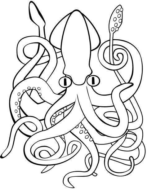 squid-coloring-page - Online Coloring Pages