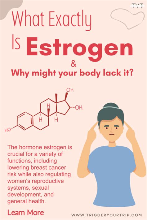 The 12 Best Supplements To Increase Estrogen Naturally - TYT