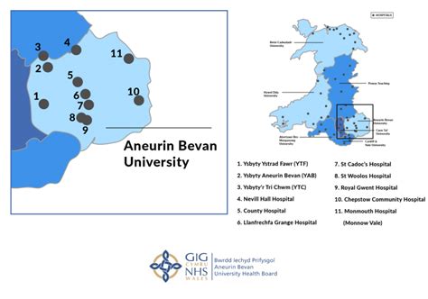 Aneurin Bevan University Health Board - Richmond Nursing Agency Ltd