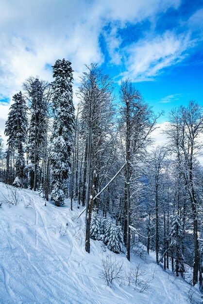 Premium Photo | Panorama of snowy mountains caucasus mountains