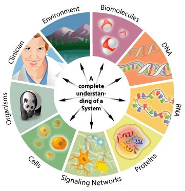 Bologia Describe El Campo De Acci N De La Biolog A Y Sus Principales