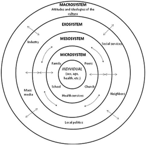 🌷 Bronfenbrenners Model Ecological Systems Theory By Bronfenbrenner