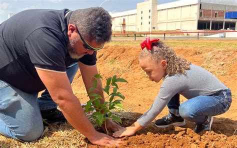 Como plantar árvores e por que essa é uma ação tão importante