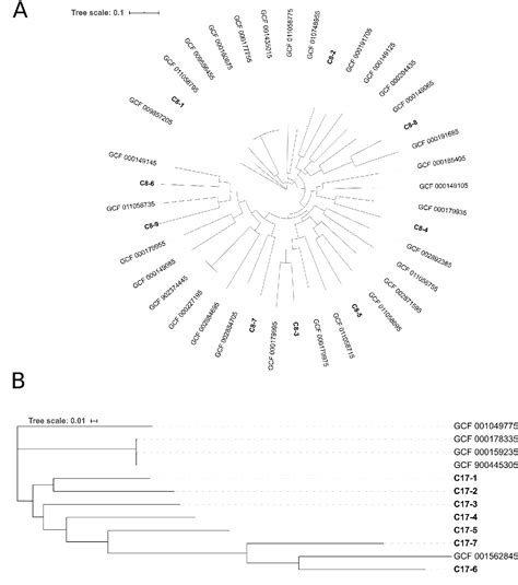 Figure 4 From Comparative Metagenomic Analysis Of The Vaginal