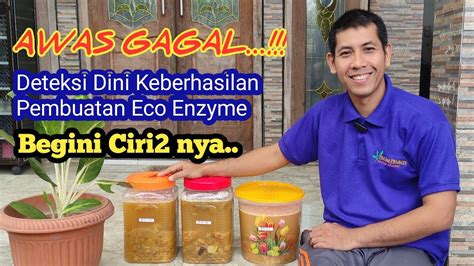 Ciri Ciri ECO ENZYME Berhasil Deteksi Dini Sebelum Gagal YouTube