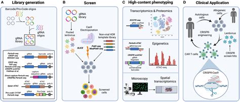 Frontiers High Content CRISPR Screening In Tumor Immunology