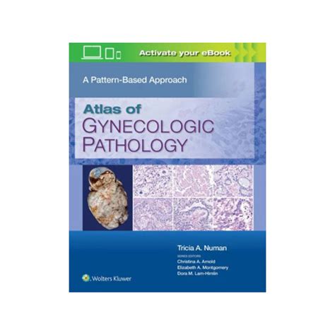 atlas  gynecologic pathology  pattern based approache