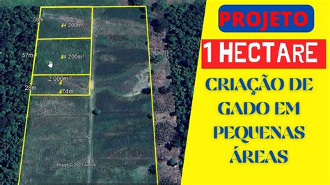 Quanto Metros Tem 1 Hectare - 10