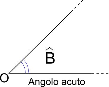 GLI ANGOLI Flashcards