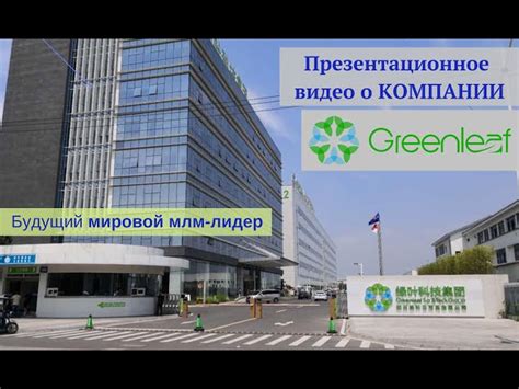 Компания Greenlef | Гринлиф