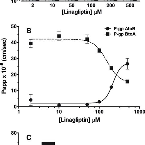 Time Dependent C Linagliptin Uptake By Cells Transfected With Oat