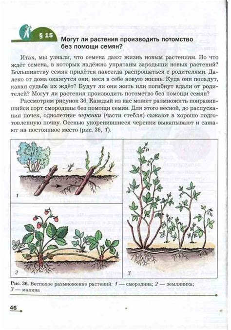 Учебник биология 5-6 класс Сухова Строганов читать онлайн
