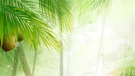 Coconut Background Coconut Leaves Coconut And Coconut Tree Green