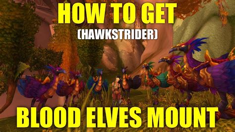 Wow Classic How To Het Hawkstrider Mount Blood Elves Mount Wotlk