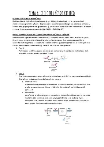 Tema Ciclo Del Acido Citrico Pdf