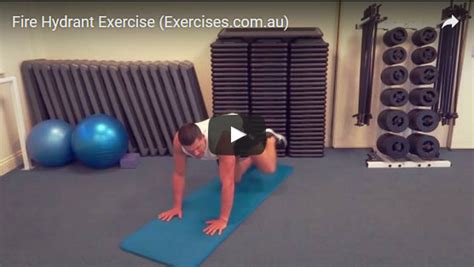 Fire Hydrant Exercise | Quick 1:25 Min Step-by-Step Video