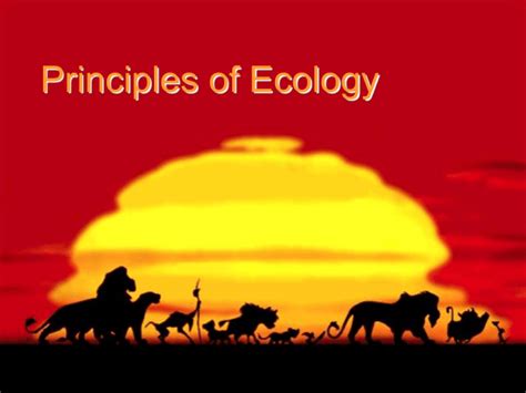 Unit 2 Chapter 2 Principles Of Ecology