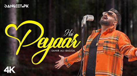 Payaar Hai Slowed Reverb Sahir Ali Bagga Sangeet Pk YouTube