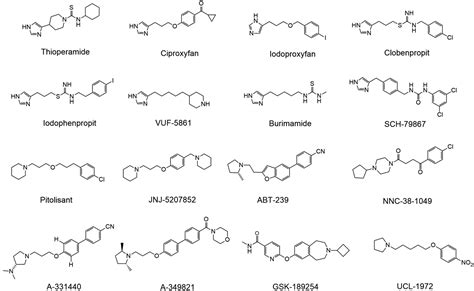 The Histamine H3 Receptor Structure Pharmacology And Function