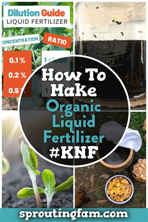 How To Make Organic Liquid Fertilizer (+ 2 KNF BioLiquid Recipes)