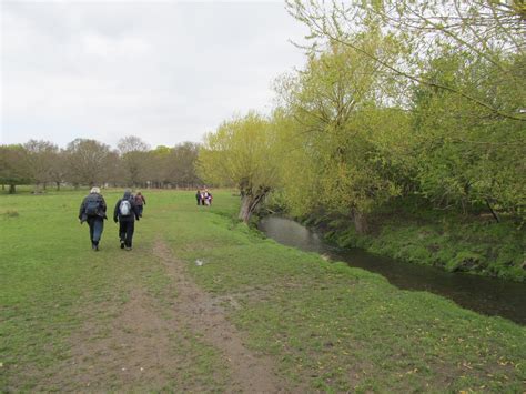 Beverley Brook Walk 020 Vivith Flickr