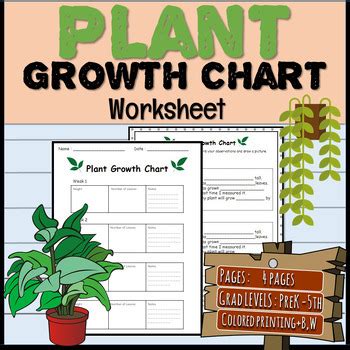 Plant Growth Chart - Worksheet (PDF) by Mr Aline Emorphi | TPT