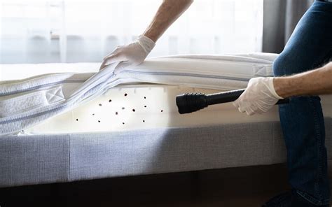 Bed Bug Prevention and Treatments You Need to Know - TruNorth Pest Control