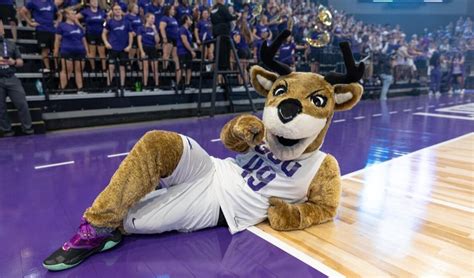 Thunder - National Mascot Championships - GCU Giving Day