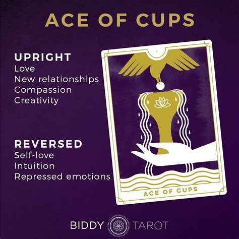 Ace Of Cups Everyday Tarot Card Meanings Artofit