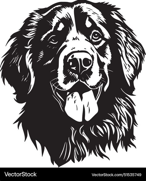 Bernese Mountain Dog High Quality Logo Ideal Vector Image