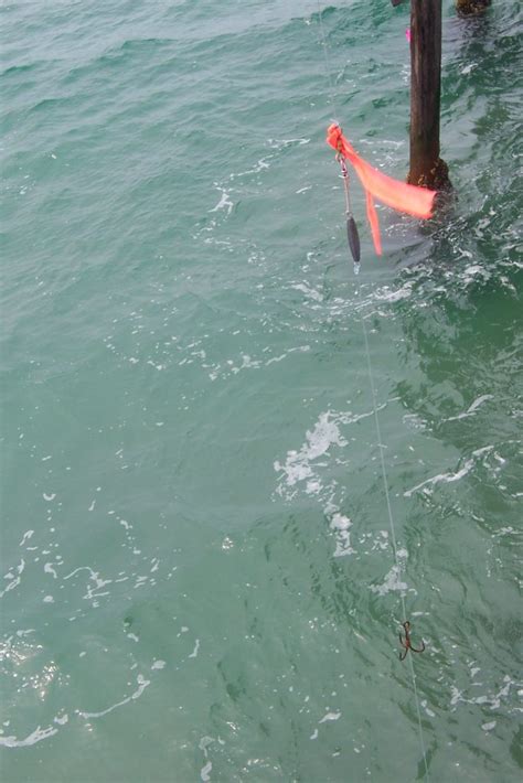 Newport Pier — Mcfadden Wharf Pier Fishing In California