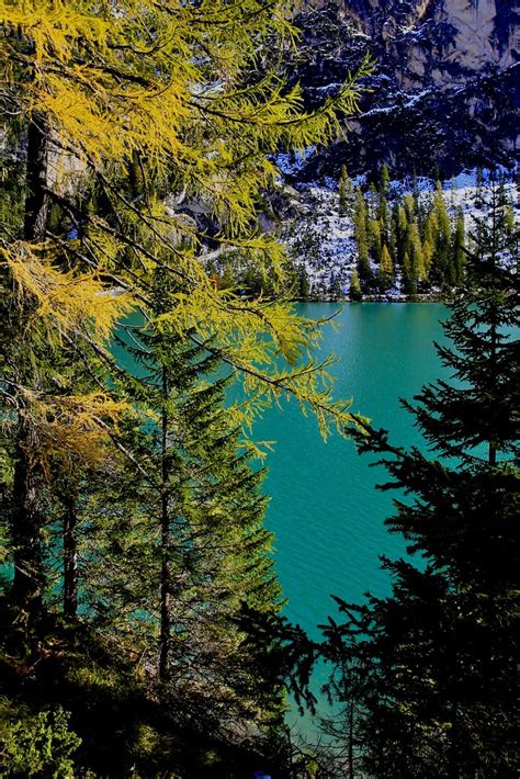 Top Laghi Trentino Alto Adige E Dintorni Flickr