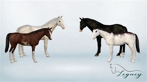 Pinto Patterns | Legacy: The Horse Game