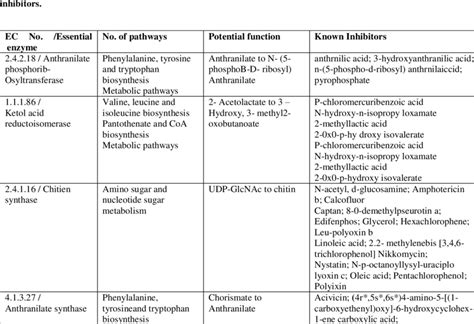 Potential Antifungal Targets And The Pathways In Which They Are Download Table