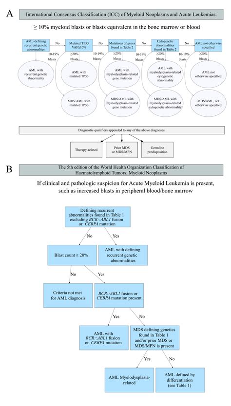 Whats New In AML Classification College Of American Pathologists