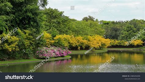 Scenery Summer Day Lake Beautiful Tree Stock Photo 2365254205 ...