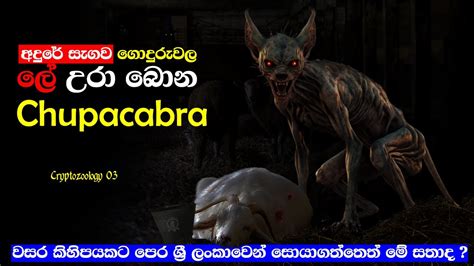 අදුරේ සැගව ගොදුරු වල ලේ උරා බොන Chupacabra නම් වූ Vampire විලෝපිකයා