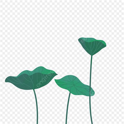 Summer Leaf Clipart Hd PNG Summer Summer Lotus Leaf Summer Lotus