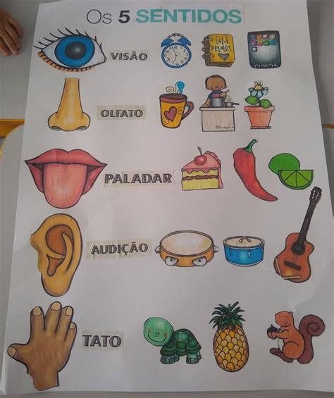 Atividades Os 5 Sentidos - Os 5 Sentidos Imagens