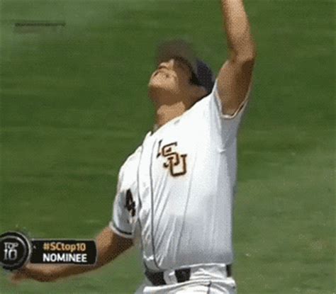 hilarious baseball gif | WiffleGif